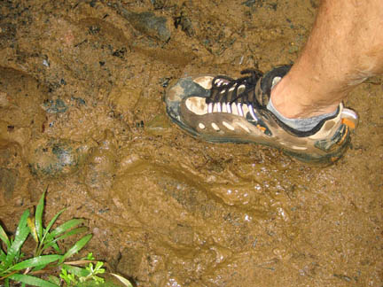 Photo20060305GuadFootMud.jpg - 62040 Bytes