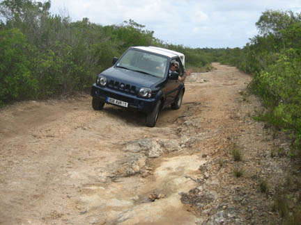 Photo20060405GuadDesiradeJeep.jpg - 49475 Bytes