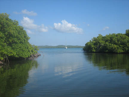 Photo20060429ViequesMangroveAnchor.jpg - 33251 Bytes